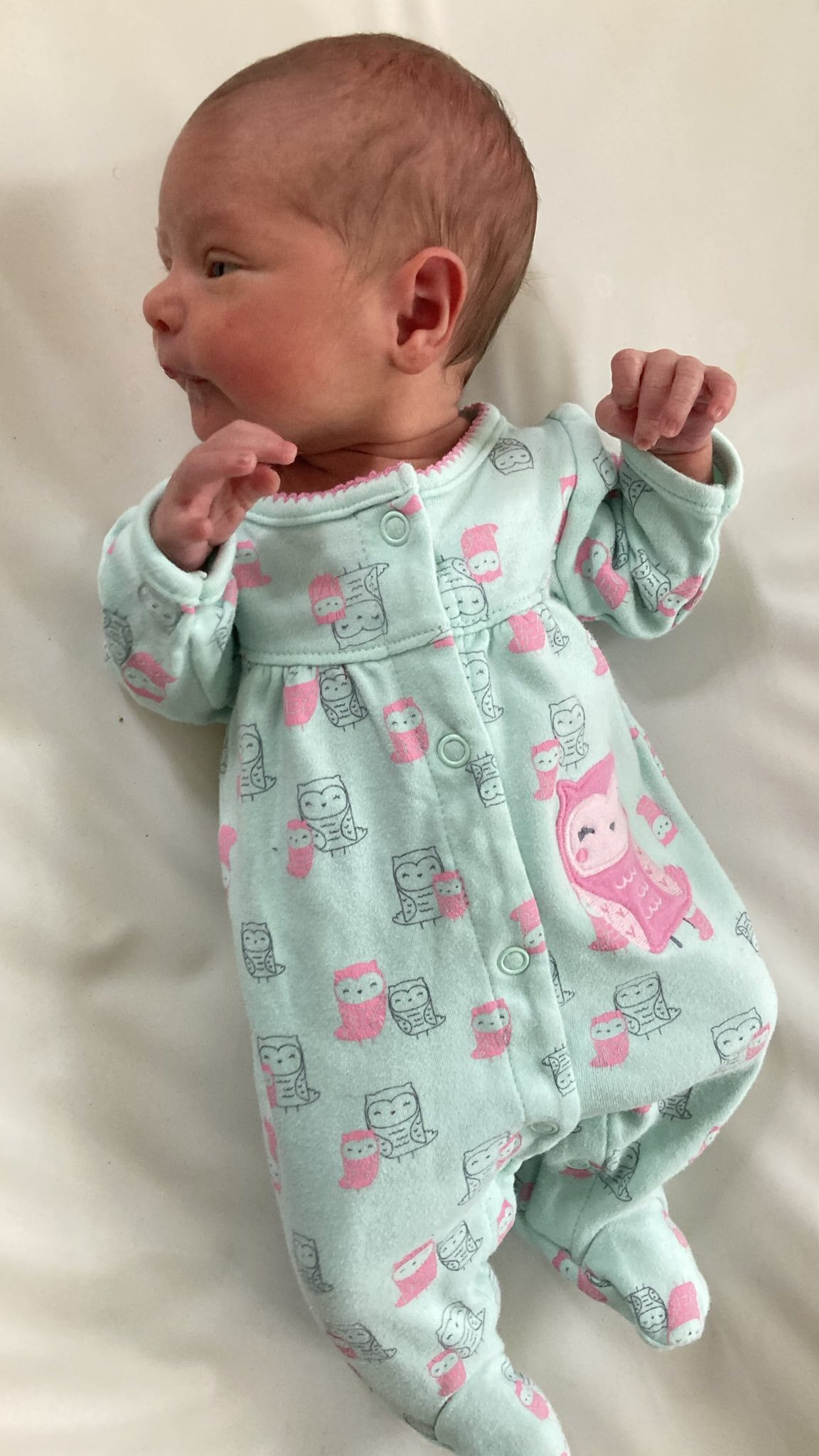 Juniper
